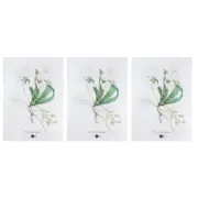 3x Maxwell & Williams Royal Botanic Gardens 70cm Tea Towel Aus Orchids White