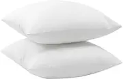 ABOOFAN 2pcs Pillow Core Pillow Fillers Cushion Insert Outdoor Pillow Inserts Pillow Inner Cushion Filler Throw Pillow Insert