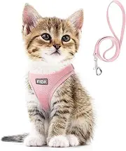 Fida Comfy Dog Harness with Leash, Cat Vest Harness Escape Proof, Breathable Lightweight Soft Mesh, Adjustable Reflective Step-in Harness for Puppy Toy Breeds & Extra-Small Pet (XXS, Pink)