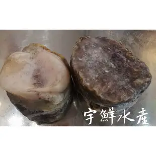 鮑魚/生鮑魚/智利冷凍生鮑魚/冷凍鮑魚/宇鮮水產