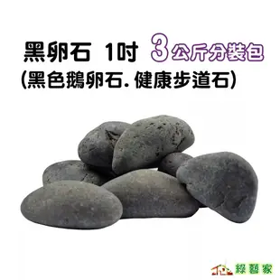 黑卵石 1吋 3公斤分裝包 (黑色鵝卵石.健康步道石)鋪面石 裝飾石 景觀石【綠藝家】