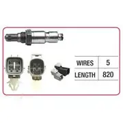 RAE Oxygen Sensor - OX816