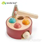美國 TENDER LEAF TOYS 啄木鳥敲敲樂(感官啟蒙學習教具) /學齡前玩具.木頭玩具.安全.模擬玩具