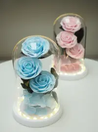在飛比找友和YOHO優惠-3朵保鮮花 (永生花) 玫瑰玻璃燈座 禮盒裝 - 藍色