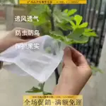 防鳥網~水果套袋果實網袋透氣番茄番石榴藍葡萄無花果草莓防蟲防鳥保護袋