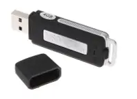 在飛比找Yahoo!奇摩拍賣優惠-隨身碟 錄音筆 錄音隨身碟 USB 二合一 隨身碟 可連續錄