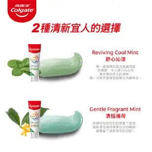 Colgate 高露潔 全效抗牙菌斑舒心沁涼牙膏95g