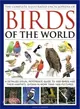 The Complete Illustrated Encyclopedia of Birds of the World ─ A Detailed Visual Reference Guide to 1600 Birds and Their Habitats, Shown in More Than 1800 Pictures