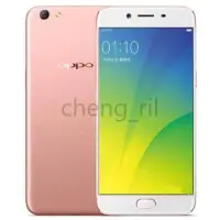 在飛比找蝦皮購物優惠-OPPO R9s 指紋辨識 5.5吋 雙卡雙待 4+64G 