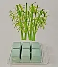 Get 2 AUSTRALIAN BAMBOO GRASS Triple Scented Soy Wax NOOPYS Melts Tarts Manly