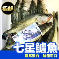 在飛比找蝦皮購物優惠-鱸魚 七星鱸魚 500g /鱸魚湯 /非冷凍魚 /去鰓去鱗去