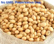 ORGANIC NON GMO SOY BEANS - DRIED SOYA BEANS FOR TOFU SOY MILK 25 Gram to 10 KG