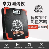 在飛比找蝦皮購物優惠-【台灣出貨】家用拳擊沙包袋拳力測試儀兒童跆拳道訓練運動健身器