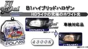 POLARG P-0879 B1 Hybrid Halogen, H7, 12 V 55 W, Pack of 2