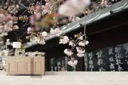 3D Temple Sakura Wallpaper Wall Mural Removable Self-adhesive 1067