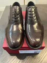 NIB SALVATORE FERRAGAMO PRINCETON BROWN POLISHED LEATHER OXFORD 13EE