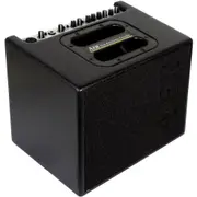 AER Compact Classic Pro Acoustic Instrument Amplifier 60 Watt