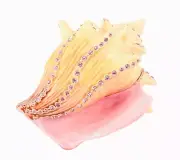 Conch Shell By Ciel Collectables. Hand Crafted with Swarovski Crystals & Enamel