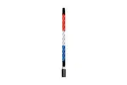ECOXGEAR 2 Foot Led Whip W/ Controller