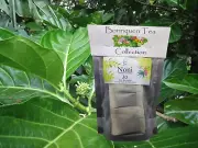 Noni Leaf (Morinda Citrifolia) Tea Servings, Fine Grit Herb & Extract