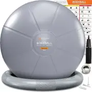 Yoga Ball Chair with Base - 65cm Exercise Ball for Office & Pregnancy Support