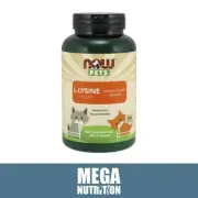 NOW Food Pet L-Lysine for Cats 226.8g Immune System Support Respiratory Health