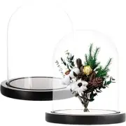 2x Glass Cloche Dome Bell Jar Display Case w/ Base for Plants Fairy Lights, 6x7"