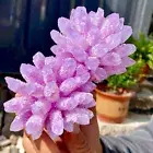 470G New Find Pink Purple Phantom Quartz Crystal Cluster Mineral SpecimenHealing