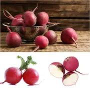 Turnip - Hida Beni (Red) F1 seeds