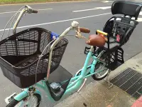 在飛比找Yahoo!奇摩拍賣優惠-(八幡宿)ASAMA 購物車 寵物車 親子車 路易士自行車 