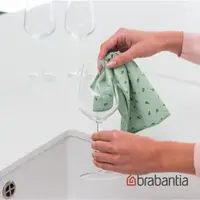 在飛比找momo購物網優惠-【Brabantia】碳纖維抹布2入(仙綠色)