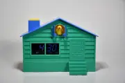 Alarm Cuckoo Clock, Clock with wake up sunrise light, Medium, Green