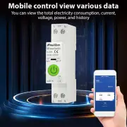 1-63A Smart WiFi Circuit Breaker Electricity Statistics Leakage Switch Tuya R9A2