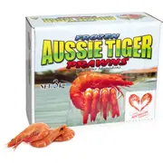 Thawed Large Cooked Australian Tiger Prawn 3kg