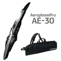 在飛比找蝦皮商城優惠-Roland AE-30 Aerophone Pro 電子吹