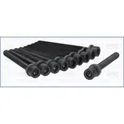 Austral Cylinder Head Bolt Set - 81012100