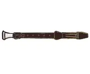 Brooch-Coloured Enamel-Recorder