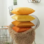 Set of 4 Velvet Throw Pillow Covers, Soft Square Home Decorative Cushion Cases Cozy Cushion Covers for Couch Sofa Car Bedroom Living Room Home Patio Indoors Outdoors Style Home Decor 45 x 45 cm