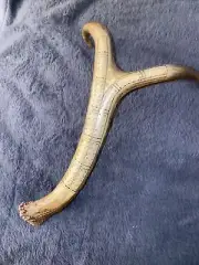 Antler cribbage board, Authentic And real. One of a Kind cribbage board.