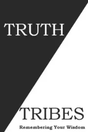 Truth Tribes: A Journey to Discovering Your Wisdom by Todd Borandi (English) Pap