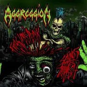 Aggression Feels Like Punk, Sounds Like Thrash CD