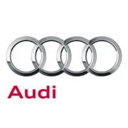 Genuine Audi Light 3C0919234A