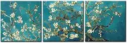 Van Gogh Wall Art Canvas Print Painting Almond Blossom Picture The Van Gogh Classic Arts Stretched and Framed Artwork for Living Room 16x16inchx3