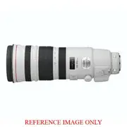 Canon EF 200-400mm f4L IS USM + 1.4x Tele-converter | Secondhand