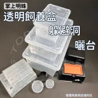 在飛比找蝦皮購物優惠-《慢慢爬》透明飼養盒 塑膠 角蛙 樹棲 守宮飼養盒 飼養盒 