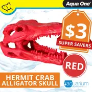 Aqua One Hermit Crab Alligator Skull Red Ornament 7.5x4.5x4.5cm (37181R)