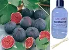 FIGUIER - Reed Diffuser Refill