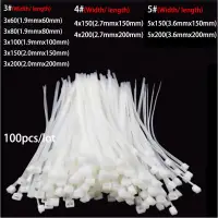 在飛比找蝦皮購物優惠-100pcs white cable ties Zip Pl