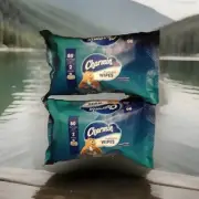 Lot Of 2 Charmin Flushable Wipes 2 Packs 40 Sheets Each Portable Cleaning Wipes