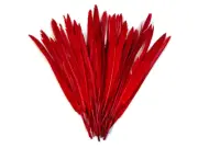 1/4 Lb. Red Goose Pointers Long Primary Wing Wholesale Feather Costume Supplier